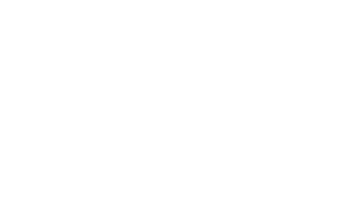 Logo TENSOSS Engineering